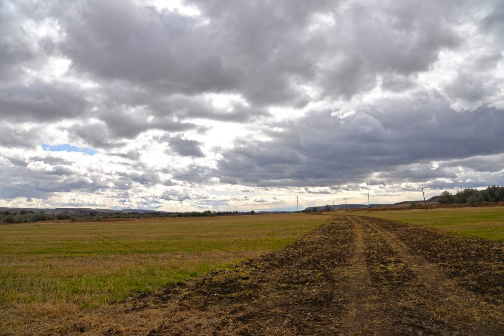 Clarks-Fork-Irrigated-Farm-Fromberg-Montana19