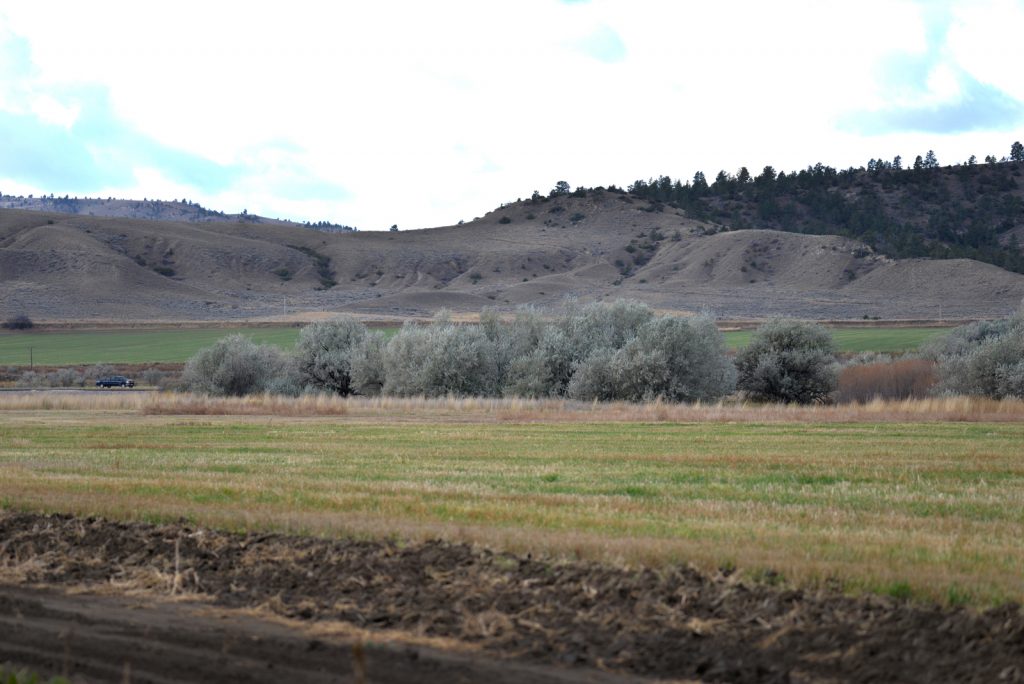 Clarks-Fork-Irrigated-Farm-Fromberg-Montana3