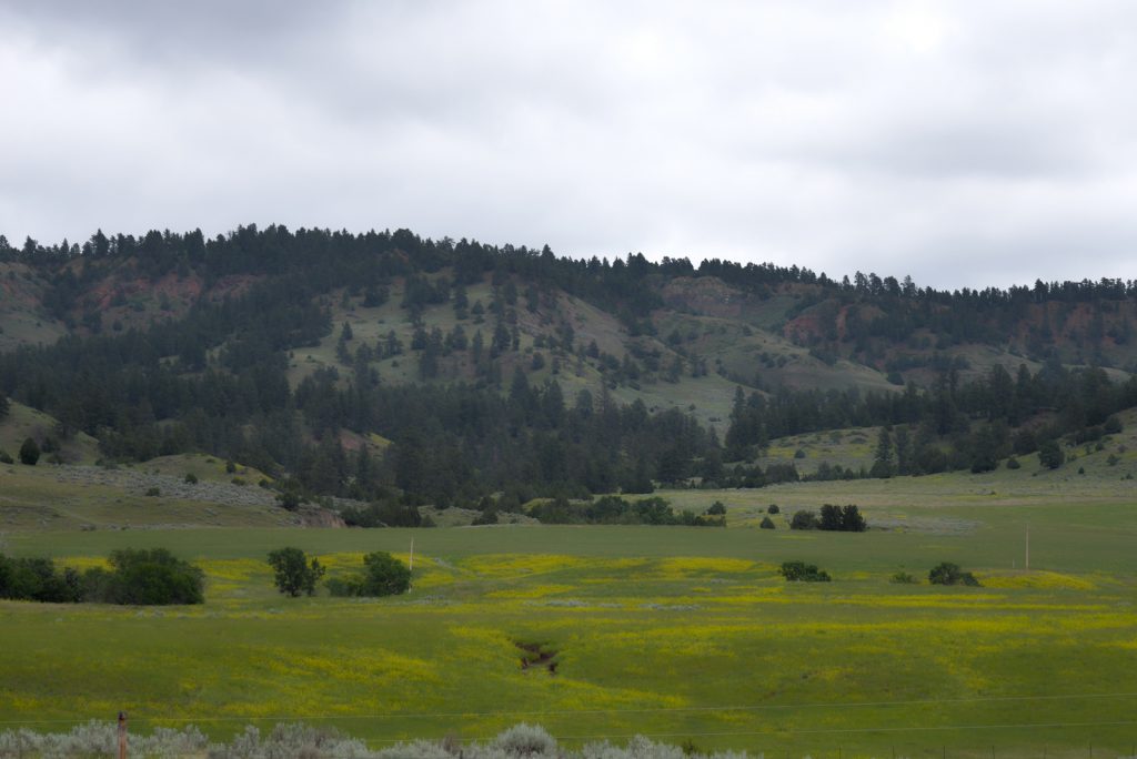 Ranch-for-Sale-Broadus-Montana13