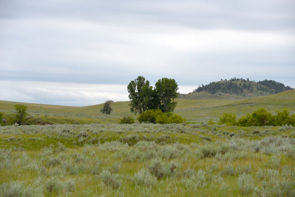 Ranch-for-Sale-Broadus-Montana28